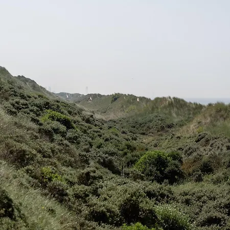 In Near The * Wenduine